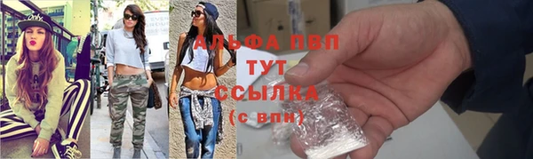 mdpv Белокуриха