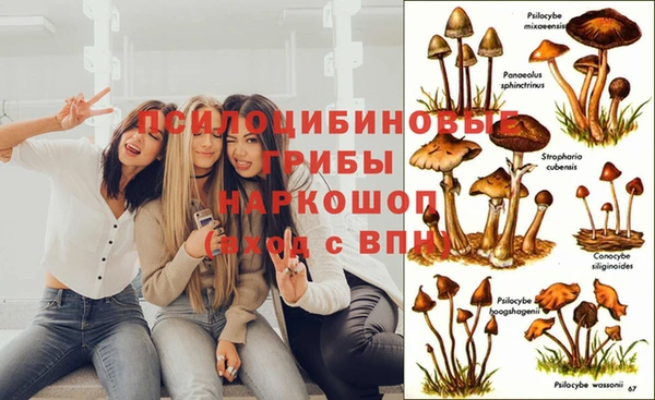 мет Беломорск