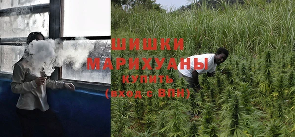 mdpv Белокуриха
