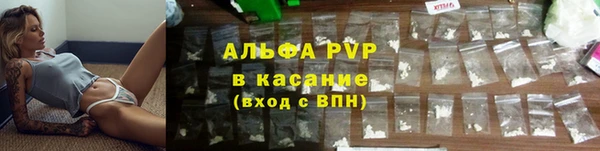 mdpv Белокуриха