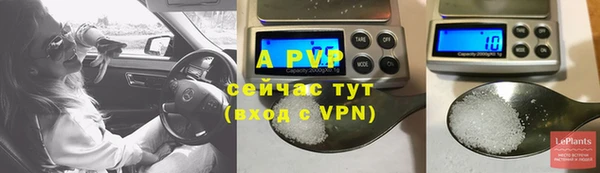 mdpv Белокуриха