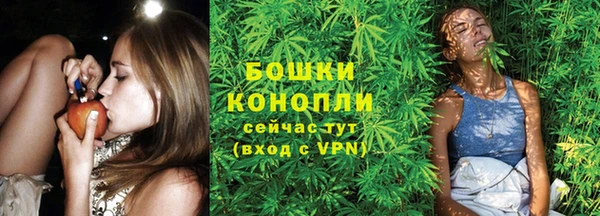 mdpv Белокуриха
