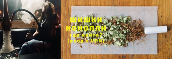 mdpv Белокуриха